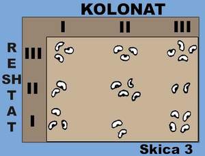 Grupet e kokrrave t fatit